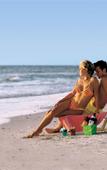 Туры в отель Sheraton Sand Key Resort Туры в отель Sheraton Sand Key Resort