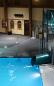 Туры в отель Holiday Inn Great Falls Туры в отель Holiday Inn Great Falls