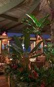 Туры в отель Royal Kona Resort Туры в отель Royal Kona Resort