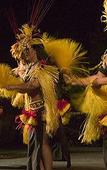 Туры в отель Royal Kona Resort Туры в отель Royal Kona Resort