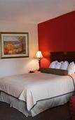 Туры в отель Best Western Driftwood Inn Туры в отель Best Western Driftwood Inn