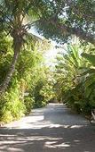 Туры в отель Banana Bay Resort & Marina Туры в отель Banana Bay Resort & Marina