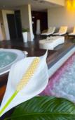 Туры в отель Bluesun Hotel Kaj Туры в отель Bluesun Hotel Kaj