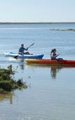 Туры в отель Cabanas Resort Park Туры в отель Cabanas Resort Park