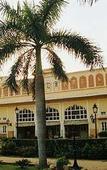 Туры в отель Naila Bagh Palace Туры в отель Naila Bagh Palace