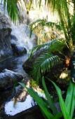 Туры в отель Aida Ayurveda & Spa Resort Induruwa Туры в отель Aida Ayurveda & Spa Resort Induruwa