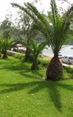 Туры в отель Hotel Alkyon Туры в отель Hotel Alkyon