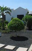 Туры в отель Villas Don Rafael Туры в отель Villas Don Rafael