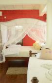 Туры в отель Thambapanni Retreat Туры в отель Thambapanni Retreat