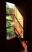 Туры в отель La Quinta Roja Туры в отель La Quinta Roja