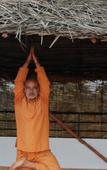 Туры в отель Chakra Ayurvedic Resort Туры в отель Chakra Ayurvedic Resort