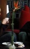 Туры в отель The Bonham Туры в отель The Bonham