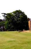 Туры в отель Coulsdon Manor Туры в отель Coulsdon Manor