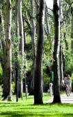 Туры в отель Calaserena Village Туры в отель Calaserena Village