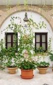 Туры в отель Hacienda Posada de Vallina Туры в отель Hacienda Posada de Vallina