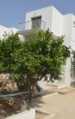 Туры в отель Sweet Memories Hotel Apartments Туры в отель Sweet Memories Hotel Apartments