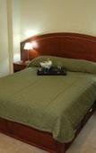 Туры в отель Olmo Dorado Apart Hotel Туры в отель Olmo Dorado Apart Hotel