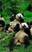 Туры в отель Ao Xiang Ge Туры в отель Ao Xiang Ge