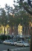 Туры в отель La Isla Hostal Туры в отель La Isla Hostal