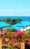 Туры в отель Melon Resort Туры в отель Melon Resort