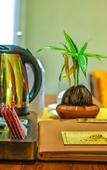 Туры в отель Oak Ray Haridra Beach Resort Туры в отель Oak Ray Haridra Beach Resort