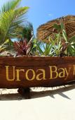Туры в отель Uroa Bay Beach Resort Туры в отель Uroa Bay Beach Resort