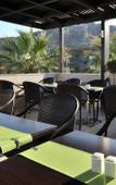 Туры в отель Olive Garden Hotel Туры в отель Olive Garden Hotel