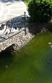 Туры в отель Villa Milev Туры в отель Villa Milev