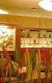 Туры в отель Magnificent International Hotel Туры в отель Magnificent International Hotel