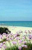 Туры в отель Hotel Sandalia Туры в отель Hotel Sandalia