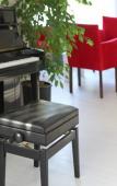 Туры в отель Ayapam Boutique Hotel Туры в отель Ayapam Boutique Hotel