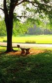 Туры в отель Randholee Luxury Resort Туры в отель Randholee Luxury Resort