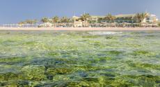 Barcelo Tiran Sharm 4*
