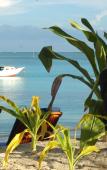Туры в отель Blue Lagoon Beach Resort Туры в отель Blue Lagoon Beach Resort