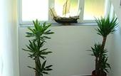 Туры в отель Apartments Mina Туры в отель Apartments Mina