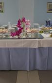 Туры в отель Adriatiq Hotel Laguna Gradac Туры в отель Adriatiq Hotel Laguna Gradac