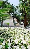 Туры в отель Esperidi Resort Туры в отель Esperidi Resort