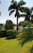 Туры в отель Esperidi Resort Туры в отель Esperidi Resort