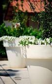 Туры в отель Esperidi Resort Туры в отель Esperidi Resort