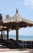 Туры в отель Joe's Cafe & Garden Resort Туры в отель Joe's Cafe & Garden Resort