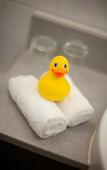 Туры в отель Park Inn Cardiff City Centre Туры в отель Park Inn Cardiff City Centre