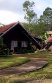 Туры в отель Villa Pinares de Mayari Туры в отель Villa Pinares de Mayari
