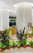 Туры в отель Four Points by Sheraton Hainan Туры в отель Four Points by Sheraton Hainan