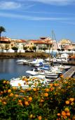 Туры в отель Residence Hotel La Pelosetta Туры в отель Residence Hotel La Pelosetta