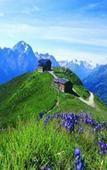 Туры в отель Wellnesshotel Milderer Hof Туры в отель Wellnesshotel Milderer Hof