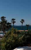 Туры в отель Ceshme Plus Hotel and Beach Туры в отель Ceshme Plus Hotel and Beach