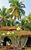 Туры в отель Riva Beach Resort Туры в отель Riva Beach Resort