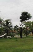 Туры в отель Peaceful Resort Туры в отель Peaceful Resort