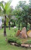 Туры в отель Peaceful Resort Туры в отель Peaceful Resort