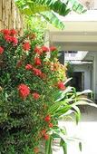 Туры в отель Frangipani Villa-60s Hotel Туры в отель Frangipani Villa-60s Hotel